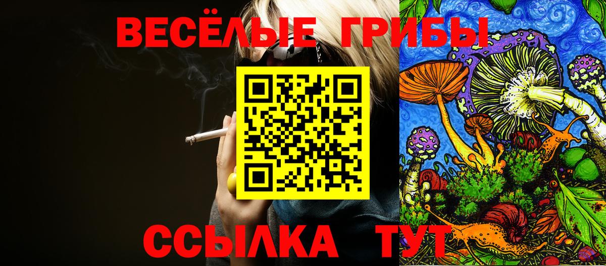 купить наркоту  Галлюциногенные грибы GOLDEN TEACHER  Вход с VPN  Александров 